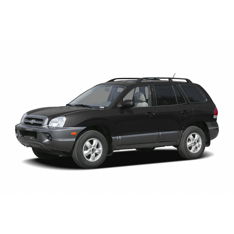 коврики эва для hyundai-santa-fe-i-2000-2006_15-03-24_04-53-59_607.webp